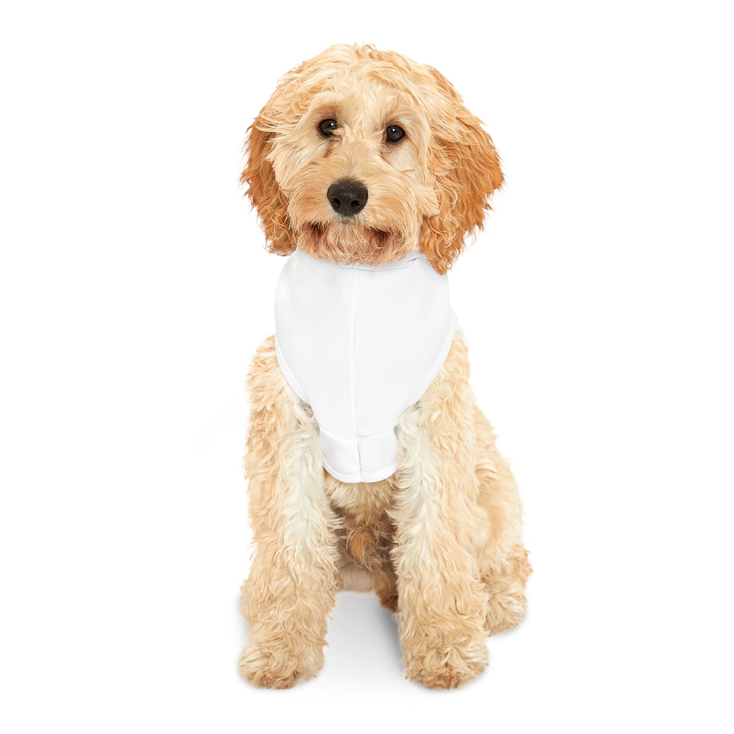 Jersey - Pet Hoodie